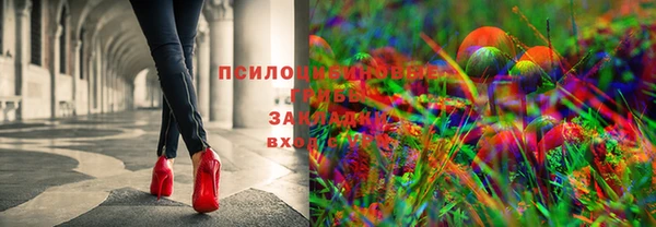 не бодяженный Алексин