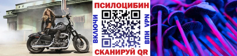 Галлюциногенные грибы Psilocybine cubensis  наркота  Менделеевск 